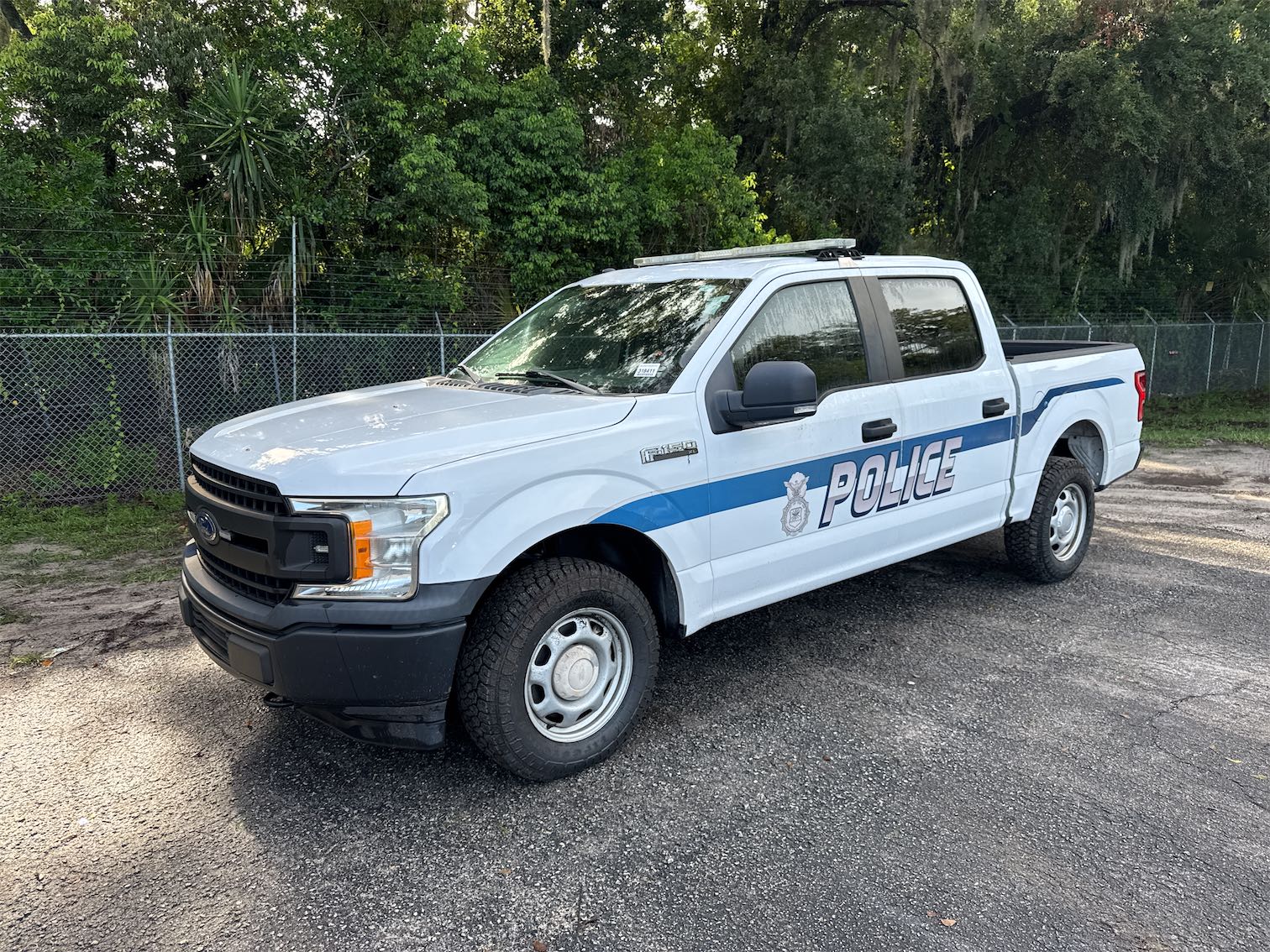 2019 FORD F150SSV