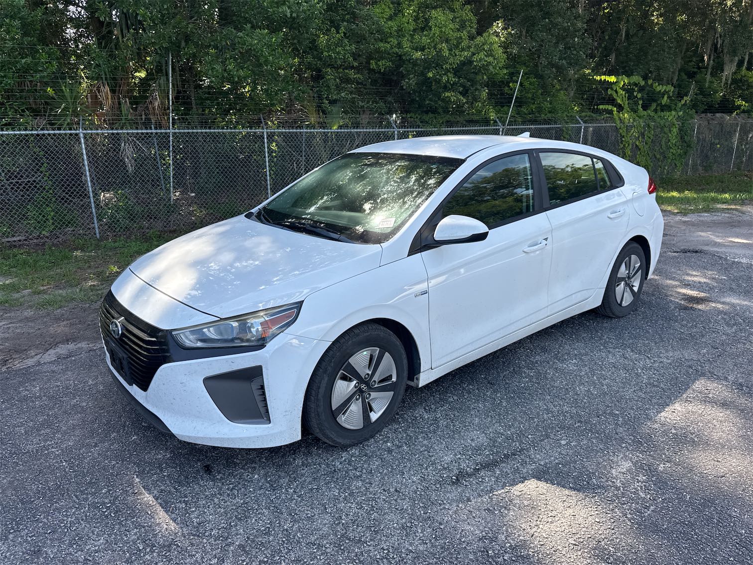 2019 Hyundai Ioniq Hev